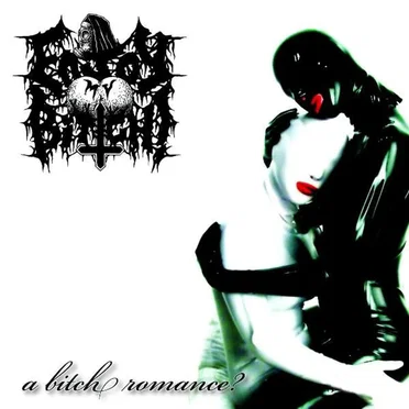 A Bitch Romance? by Enjoy My Bitch - album cover