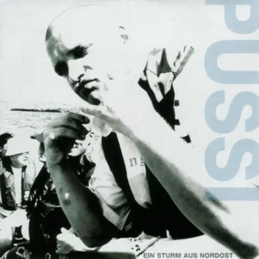 Ein Sturm aus Nordost by Pussi - album cover