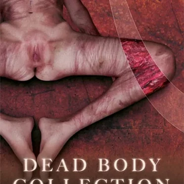 A Constellation Of Scars