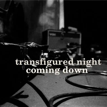 Coming Down by Transfigured Night - album cover