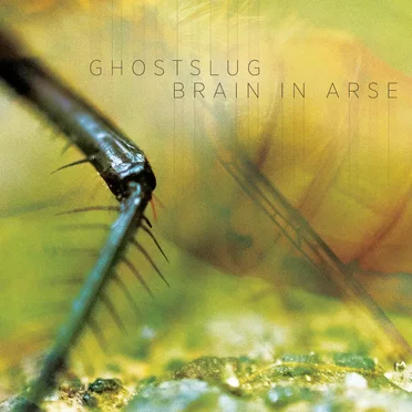 Ghostslug / Brain in Arse by Ghostslug - album cover