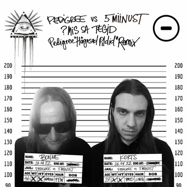 ?mis sa tegid (feat. 5MIINUST) [Pedigree "Hägused Pildid" Remix] by Pedigree - album cover