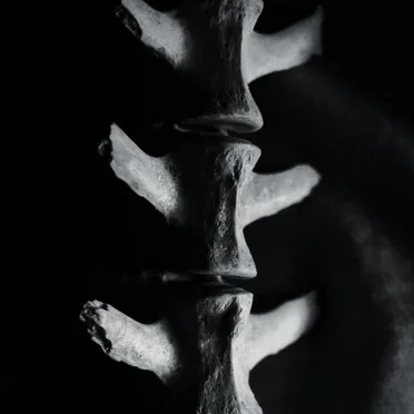 MMXIII