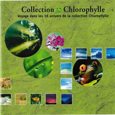 Voyage dans les 16 Univers de la Collection Chlorophylle by Various Artists - album cover