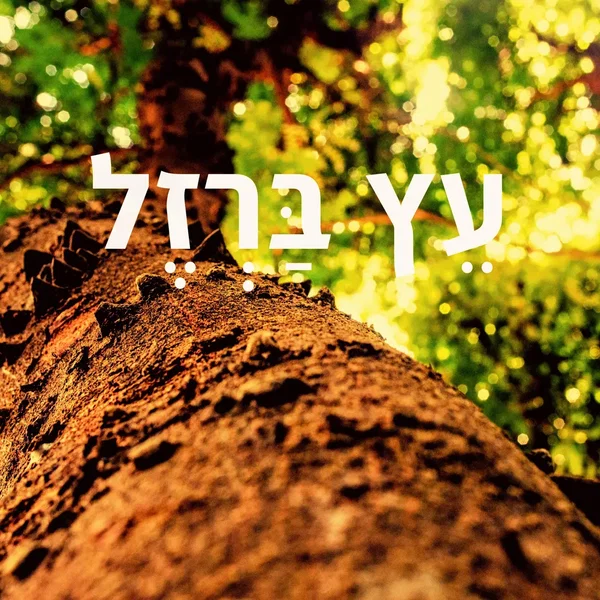 עֵץ בַּרְזֶל