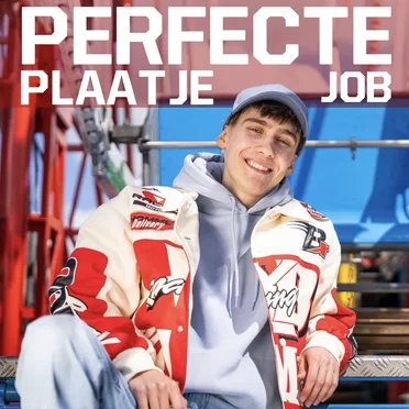 Perfecte plaatje by Job - album cover