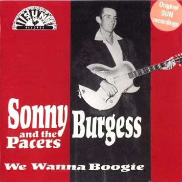 We Wanna Boogie