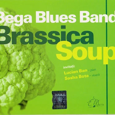 Brassica Soup