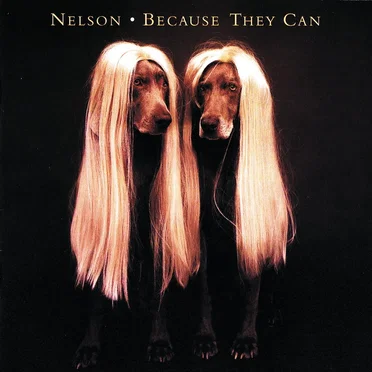 Because They Can by Nelson - album cover
