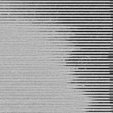 Mortality Is the Longest and Most Painful Form of Suicide