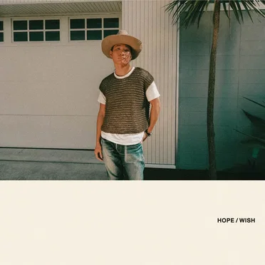HOPE / WISH by 平井大 - album cover