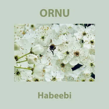 Habeebi