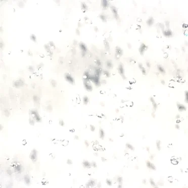 Schnee von gestern
