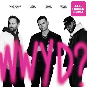 What Would You Do? (Alle Farben remix)