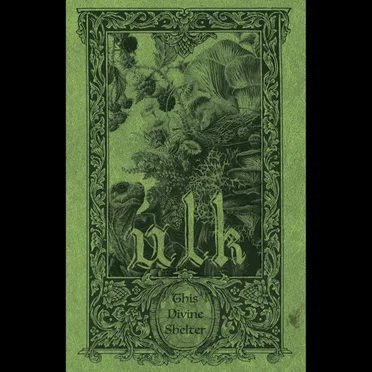 This Divine Shelter by ulk - album cover