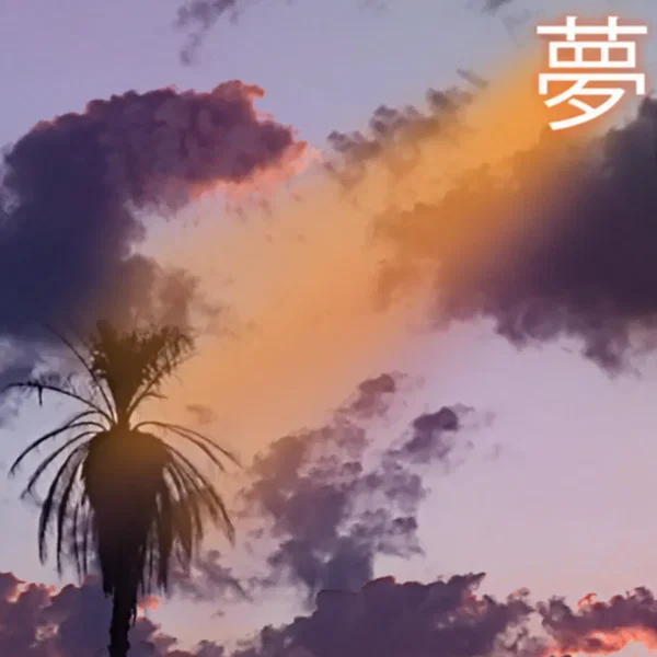 ๅคข