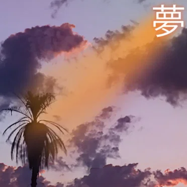 夢