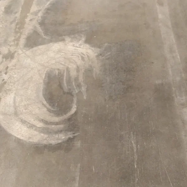 Premonitions of the Heartless