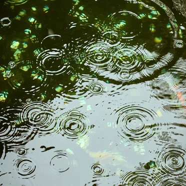 Frozen Ripples