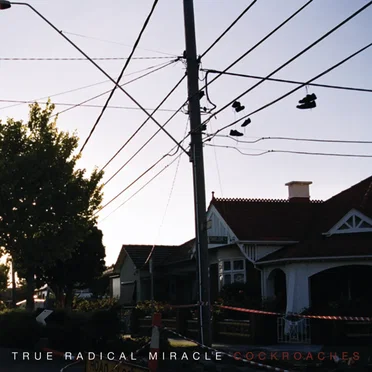 Cockroaches by True Radical Miracle - album cover