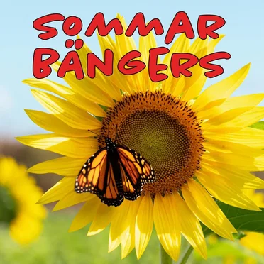 Sommar bängers by Various Artists - album cover