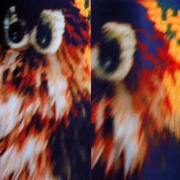 The Most Pöllö by Lauhkeat Lampaat - album cover