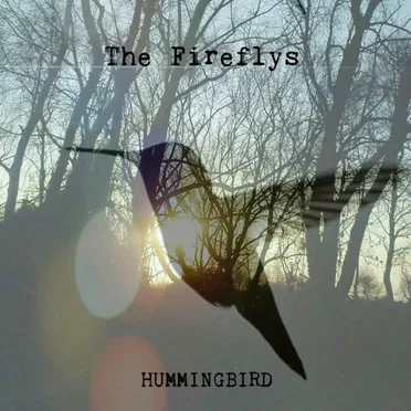 Hummingbird