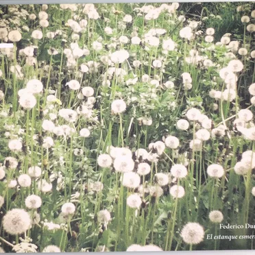 El estanque Esmeralda