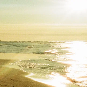 SOMM@ (frankfurt) (REM1X)