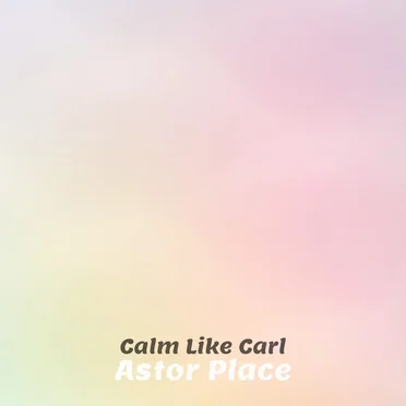 Astor Place by Calm Like Carl - album cover