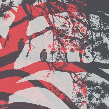 Cycles by The Last Years - album cover