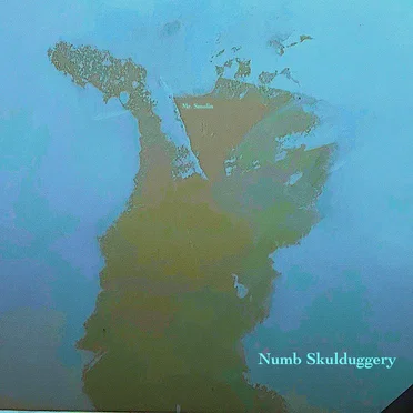 Numb Skulduggery