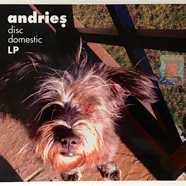 Disc Domestic LP