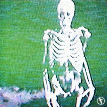 NxxxxxS 2022 Singles