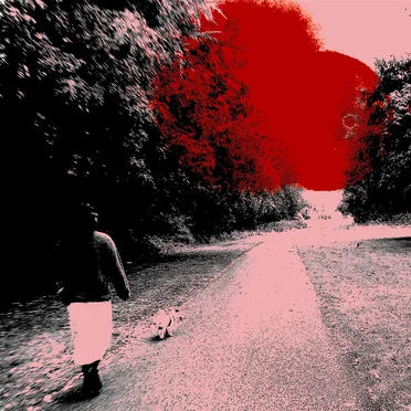 Surveyor by THEE U.F.O - album cover