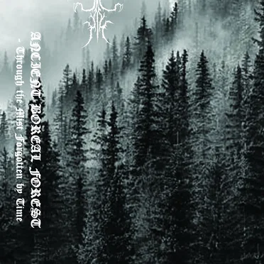 Through the Mist Forgotten by Time