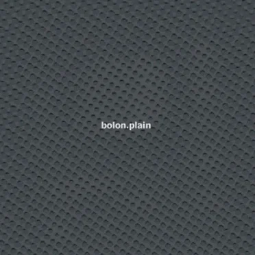 Plain