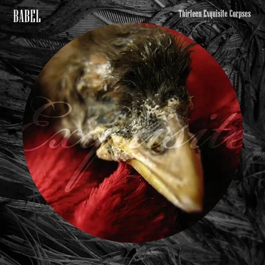 Thirteen Exquisite Corpses by Babel - album cover