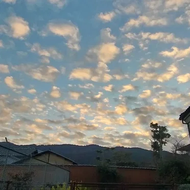 通り雨