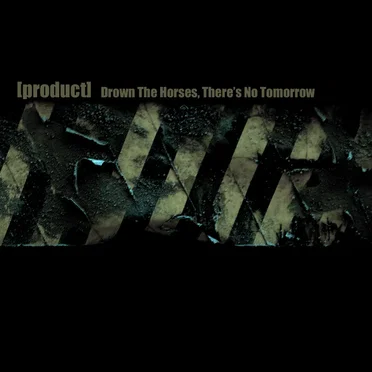 Drown the Horses, There's No Tomorrow