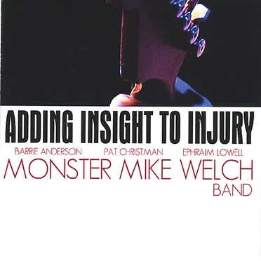 Adding Insight To Injury by Monster Mike Welch Band - album cover