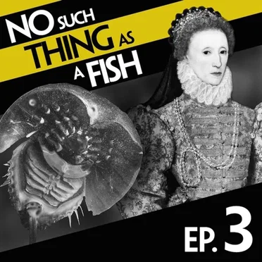 No Such Thing As A Fish #3, "No Such Thing As The Middle Ages" by No Such Thing as a Fish - album cover