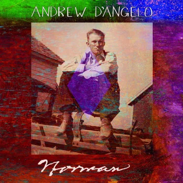 Norman by Andrew D'Angelo Trio - album cover
