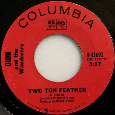 Two Ton Feather / So Much Younger