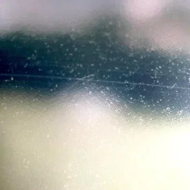 Mist