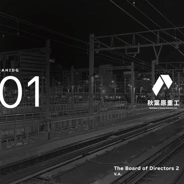 The Board of Directors 2 by Various Artists - album cover