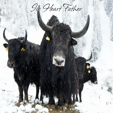 Ice Heart Father by Various Artists - album cover