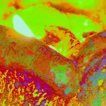 Jaw of the Mouth