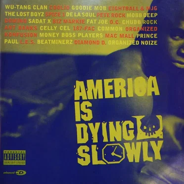 America Is Dying Slowly by Various Artists - album cover