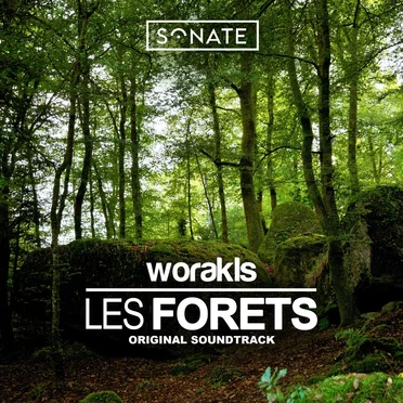 Les forêts (From “Sur le Front des Forêts Françaises”)